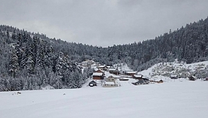 Bahar Geldi Derken Çiğdem Yaylasına Kar Yağdı