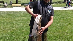 Doğal Yaşamın Güzelliği