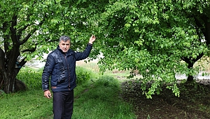 Don, Çiftçiyi Ağır Vuruyor