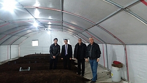 Girişimci Üniversite Öğrencisinden Solucan Gübresi Üretimi