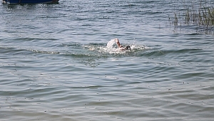 Sapanca Gölünde Yüzenler Tehlike Oluşturmaya Başladı