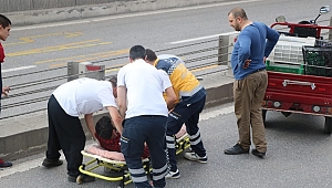 Bonzainin Etkisiyle Cadde Ortasında Bayıldı