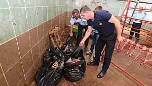 Kaçak Tesis Tahliye Edilerek Mühürlendi