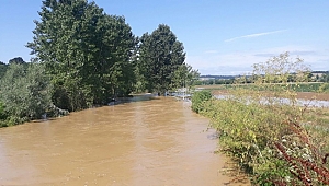 SAĞANAK YAĞIŞ TARIM ARAZİLERİNİ VURDU!