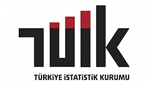 SAKARYA'DA EN FAZLA ÖLÜM ORANI 609 İLE ADAPAZARI İLÇESİ!