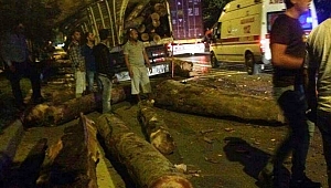 Tır’lar Çarpıştı Tomruklar Saçıldı