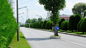 Toyota Otomotiv Sanayi Türkiye’de “Çevre Ayı” Başladı