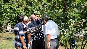 Ferrero Fındık Yetkilileri Üretici İle Bir Araya Gelerek Bahçe Günleri Yapıyor