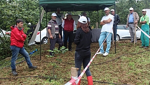 Fındık Bahçelerinde Devrim
