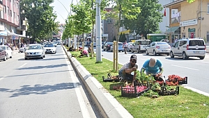 Karasu'da Çiçek Dikimi Çalışmaları Sürüyor