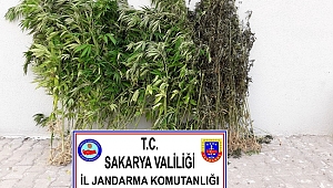 1 Haftada 7 Uyuşturucu Operasyonu! 