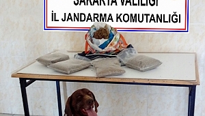 2 Kilo Bonzai Ele Geçirildi