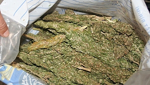 Bir Haftada 11 Ayrı Uyuşturucu Operasyonu