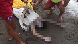 Denizde Kaybolan Gencin Cesedi Karaya Vurdu