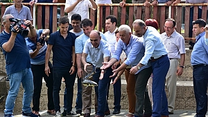 Dünyada Tek Olan Mersin Balığı Festivali Karasu’da Yapıldı