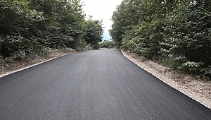 Hendek Kızanlık Sıcak Asfaltla Buluştu