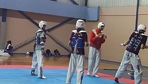 Şampiyona Öncesi, Ortak Çalışma