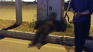 Sokak Ortasında Ölü Bulundu!