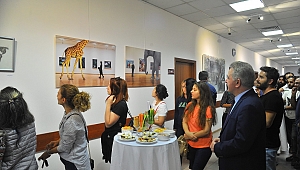 Birlikte Karma Resim Sergisi Açıldı
