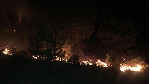 ORMAN YANGINI YAĞMUR SAYESİNDE SÖNDÜRÜLDÜ