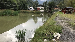 SASKİ’den Akaryakıt Sızıntısına Anında Müdahale