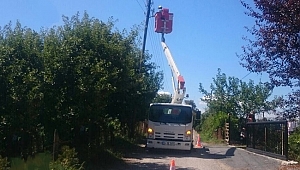 SEDAŞ AKÇAKOCA ŞEBEKE OPERASYON EKİPLERİ DURMAKSIZIN ÇALIŞIYOR