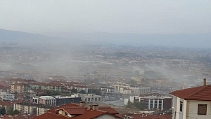 Şiddetli Rüzgar Ağaçları Yerinden Söktü