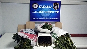 UYUŞTURUCUDAN 20 GÜNDE 11 TUTUKLAMA!