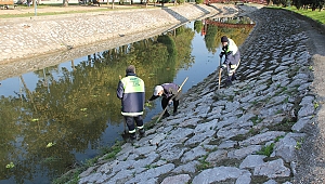  Çark Deresi Günlük Olarak Temizleniyor