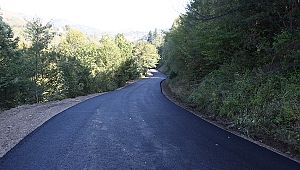 Hendek Güldibi’nde Yollar Yenilendi