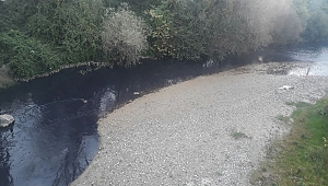 MUDURNU DERESİ KİMYASAL ATIKLARLA KİRLETİLİYOR