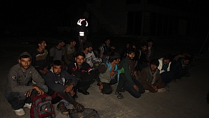 Sakarya'da 67 Göçmen Yakalandı