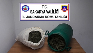 Sakarya'da 7 Kilo Esrar Ele Geçirildi