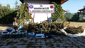  Sakarya’da 70 Kilogram Kubar Esrar Ele Geçirildi