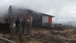 Bin 500 Saman Balyası Yandı 