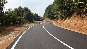 Hendek 86 Bin Ton Asfaltla Yenilendi