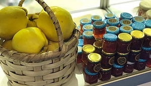 Geyve Standına İlgi Odağı