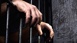 PKK, FETÖ, DEAŞ OPERASYONUNDA 11 TUTUKLAMA