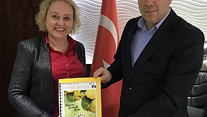 PTT Pullarında ‘Ayvanın Başkenti Geyve’ Yazıyor