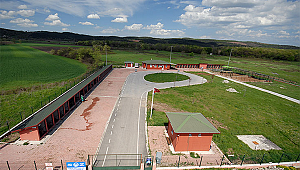 “450 Sahipsiz Köpeği Sahiplendirdik”