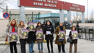 KAYNARCADAKİ VAHŞET DAVASINDA 2.CELSE!