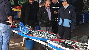 Sapanca Zabıtası Karış Karış Her Yeri Denetliyor