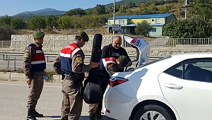 446 şahıs yakalandı, 113'ü tutuklandı