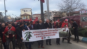 Akyazı’da Mehmetçiğe Destek Yürüyüşü Düzenlendi