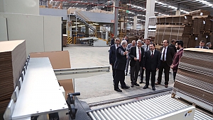 Vali Balkanlıoğlu’nun Söğütlü Çıkarması