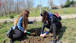Babam İçin Bir Fidan Projesi