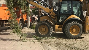 Sapanca’da Çalışmalar Hızla Devam Ediyor