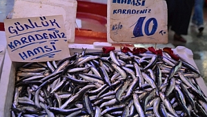 Balık Fiyatlarının Düşmesi Severlerin Keyfini Yerine Getirdi