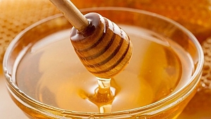 Bal54 Açılış Yapacak