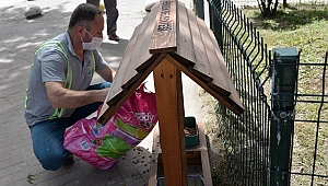 Sokak Hayvanlarına Mama Evleri00